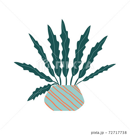 Funny cartoon flat vector house plant in pot 72717738