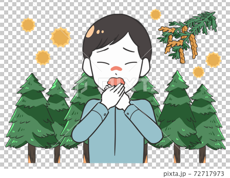 杉樹,花粉症引起的雄性擠壓 杉樹,花粉症引起的雄性擠壓 72717973