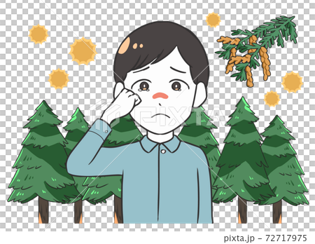 花粉症引起的眼睛發癢雄性杉樹 花粉症引起的眼睛發癢雄性杉樹 72717975