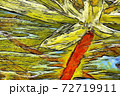 Abstract image painted with oil paints 72719911