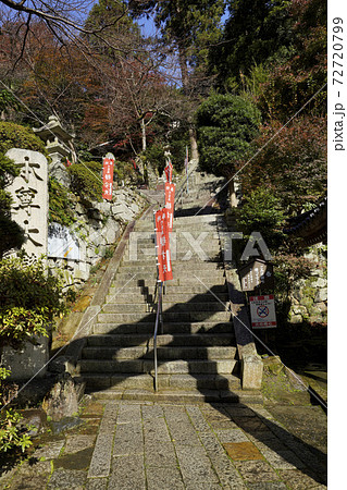 竹生島宝厳寺 本堂への参道 竹生島宝厳寺 本堂への参道 72720799