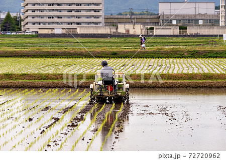 兵庫県三田市で乗用移植機を使っての水稲移植風景 兵庫県三田市で乗用移植機を使っての水稲移植風景 72720962
