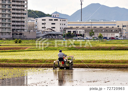 兵庫県三田市で乗用移植機を使っての水稲移植風景 兵庫県三田市で乗用移植機を使っての水稲移植風景 72720963