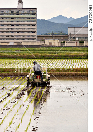 兵庫県三田市で乗用移植機を使っての水稲移植風景 72720965