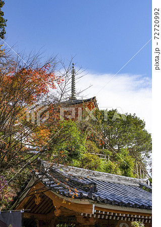 竹生島宝厳寺　三重塔を望む 72720992