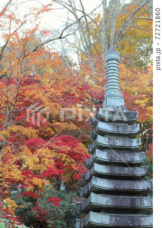 永源寺の紅葉(もみじ寺) 永源寺の紅葉(もみじ寺) 72721860