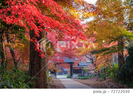 山門の紅葉 72722030