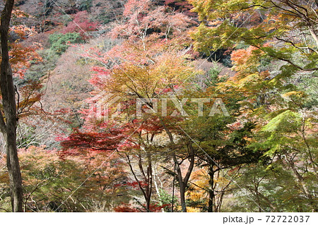 箕面の滝 72722037