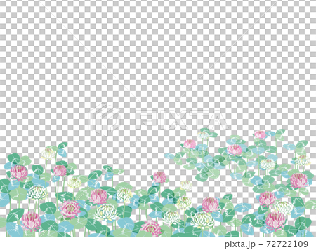 シロツメクサとアカツメクサ 72722109