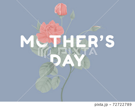 Happy mother's day greeting card design, minimalist red rose flowers and leaves on blue background Happy mother's day greeting card design, minimalist red rose flowers and leaves on blue background 72722789
