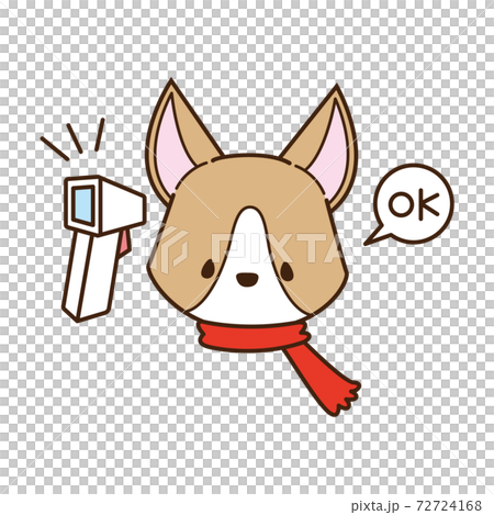 用非接觸式電子體溫計測量溫度的柯基犬 72724168