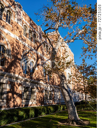 Afternoon sunny view of building in USC Campus Afternoon sunny view of building in USC Campus 72725103