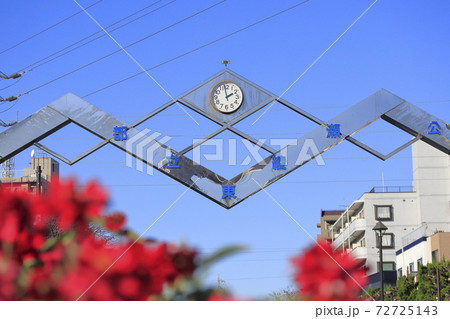 都立東綾瀬公園　足立区綾瀬 72725143