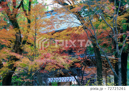 潮江天満宮の紅葉 潮江天満宮の紅葉 72725261