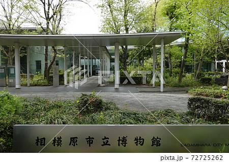 相模原市立博物館 72725262