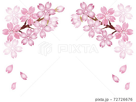春 さくら 桜 花 フレーム 水彩 コピースペース イラスト素材のイラスト素材