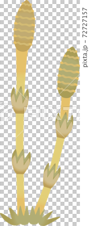 筑紫水彩風格 72727157