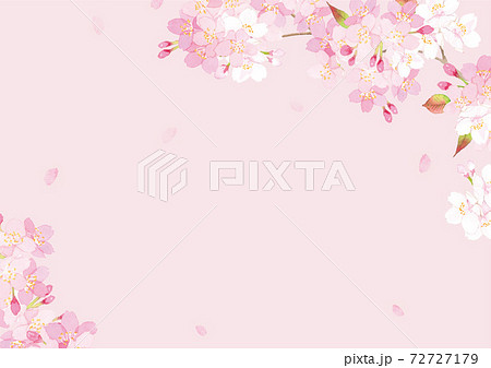 桜 水彩 背景イラストのイラスト素材