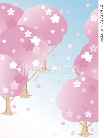 春 さくら 桜 花 フレーム 背景 コピースペース イラスト素材 春 さくら 桜 花 フレーム 背景 コピースペース イラスト素材 72727452