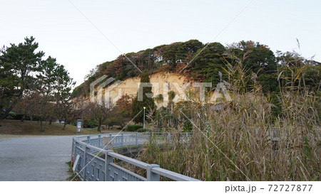 横浜、本牧市民公園 72727877