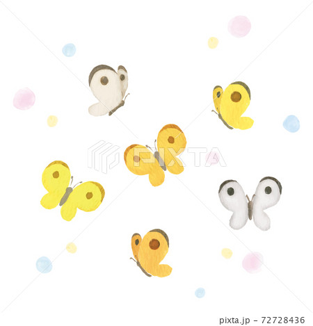 蝶々の水彩イラストのイラスト素材