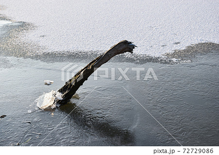 Closeup shot of a wooden plank stuck in the ice 72729086