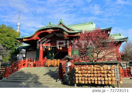 東京 亀戸天神社 梅まつりの写真素材