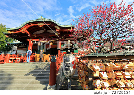 東京　亀戸天神社　梅まつり 72729154