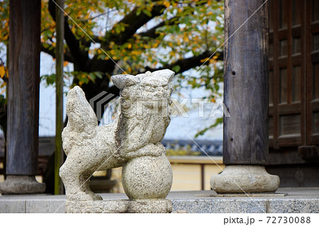 六角堂と狛犬　東長寺 72730088