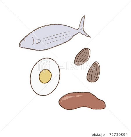 ビタミンbを含む食材のイラスト素材
