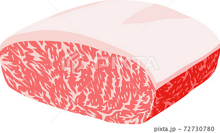 霜降りの牛肉のブロックのイラスト素材