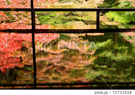 紅葉の瑠璃光院 72731038