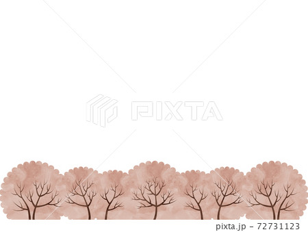 並んだ桜の木の水彩風イラスト 並んだ桜の木の水彩風イラスト 72731123