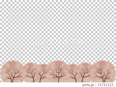 並んだ桜の木の水彩風イラスト 並んだ桜の木の水彩風イラスト 72731123