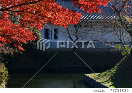 西尾市歴史公園　本丸丑寅櫓 72731336