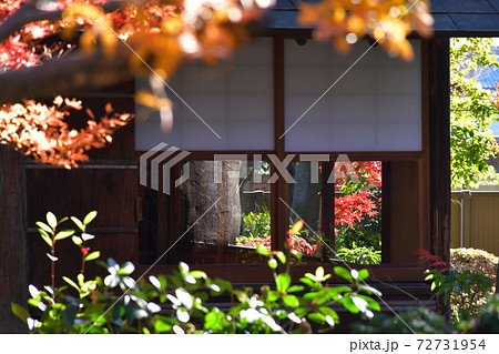 西尾市歴史公園　尚古荘　不言庵 72731954