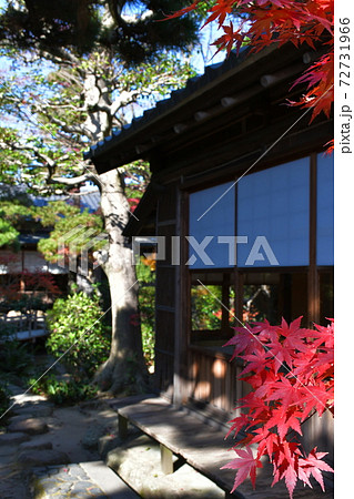 西尾市歴史公園　尚古荘　不言庵 72731966