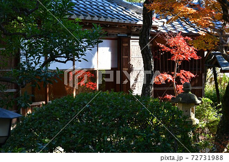 西尾市歴史公園　尚古荘　不言庵 72731988