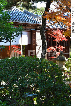 西尾市歴史公園　尚古荘　不言庵 72731989