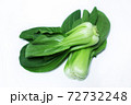 野菜 白菜 食べ物 72732248