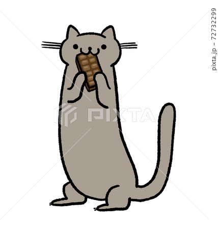 板チョコレートを食べる猫のイラスト 板チョコレートを食べる猫のイラスト 72732299