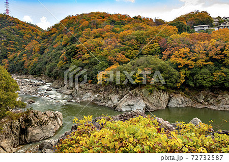 11月、兵庫県の生瀬ー武田尾間の旧福知山線廃線ハイキングコースからの風景 11月、兵庫県の生瀬ー武田尾間の旧福知山線廃線ハイキングコースからの風景 72732587