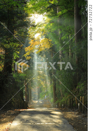 世界遺産　紅葉の中尊寺 72732722