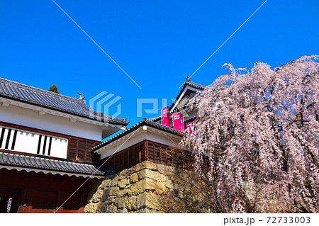 桜景　上田城　 72733003