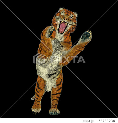 Tiger attacking Tiger attacking 72733230