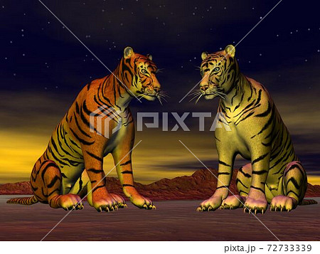 Two tigers in the desert Two tigers in the desert 72733339