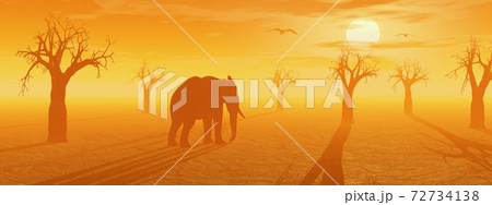 African savannah 72734138