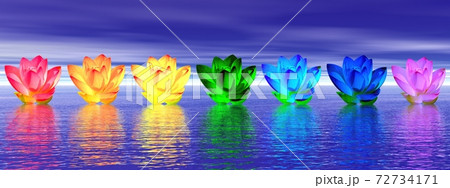 Lily flowers chakras by night 72734171