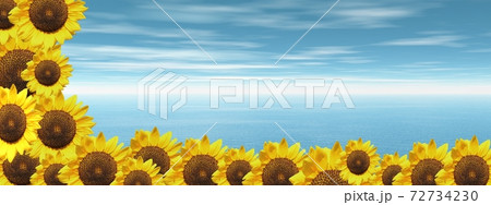 Blue ocean and sunflowers 72734230
