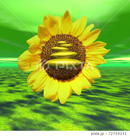 Zen sunflower 72734231